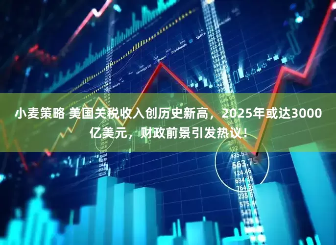 小麦策略 美国关税收入创历史新高，2025年或达3000亿美元，财政前景引发热议！