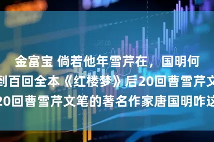 金富宝 倘若他年雪芹在，国明何须苦十年：找到百回全本《红楼梦》后20回曹雪芹文笔的著名作家唐国明咋这样说