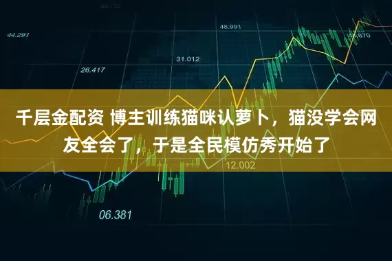 千层金配资 博主训练猫咪认萝卜，猫没学会网友全会了，于是全民模仿秀开始了